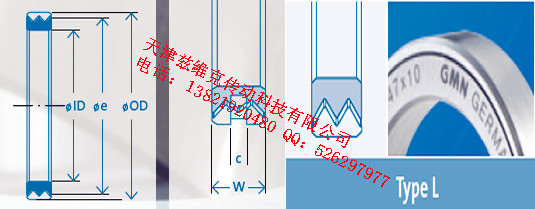 GMNL32X45X10油封圖紙